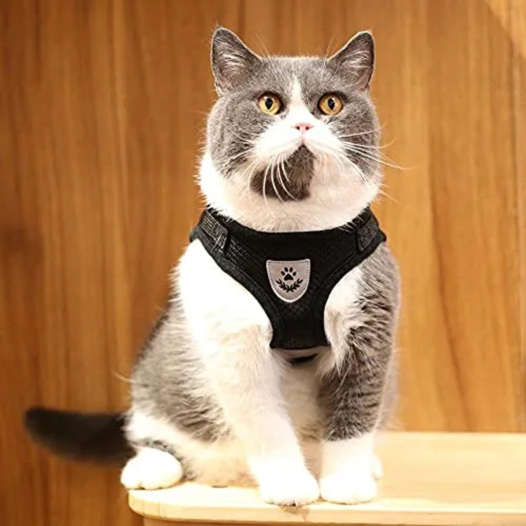 Miomu Pechera para Mascotas de Tela Respirable Negro