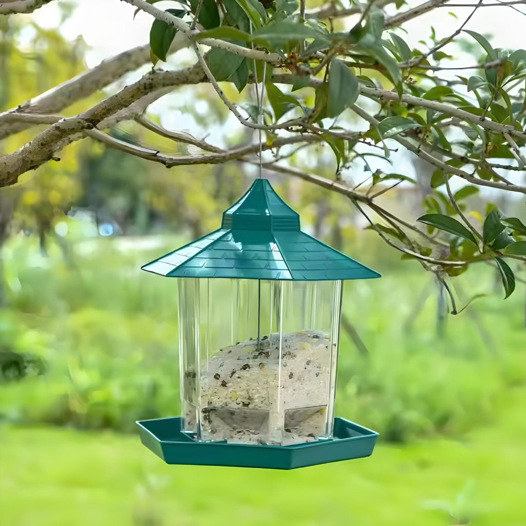 Miomu Comedero Colgante para Aves