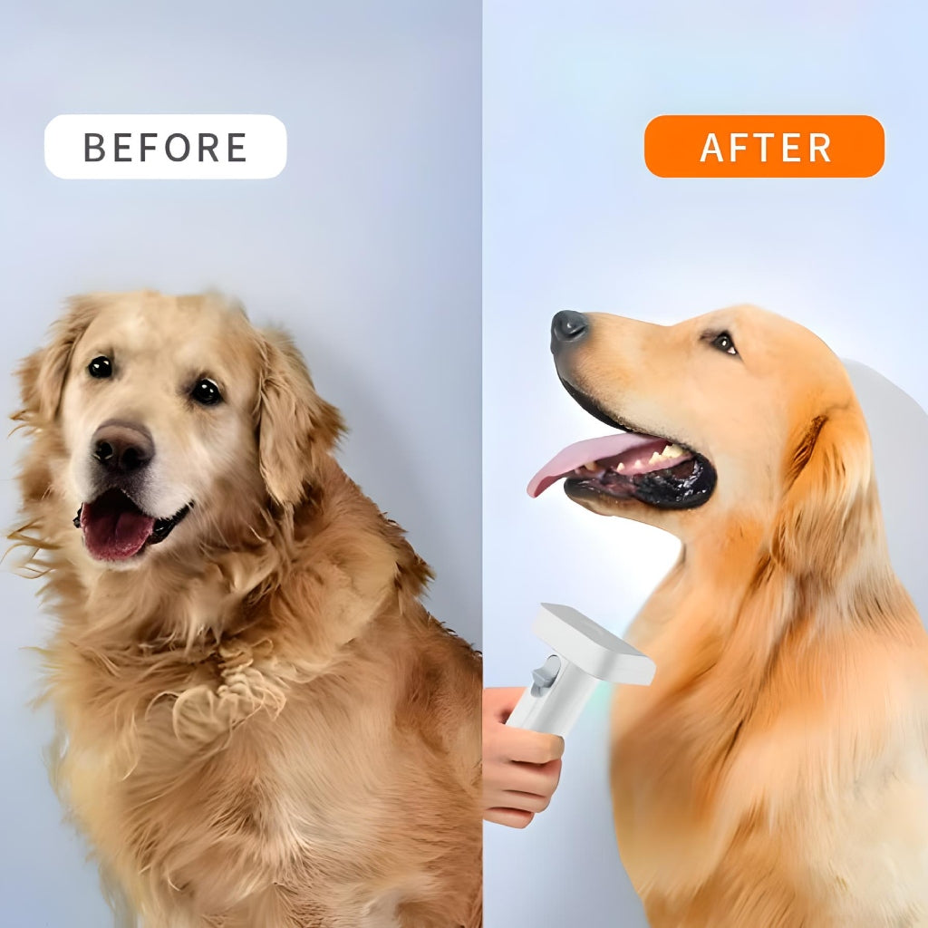 Miomu Succionadora para Pelo de Mascotas, 6 en 1