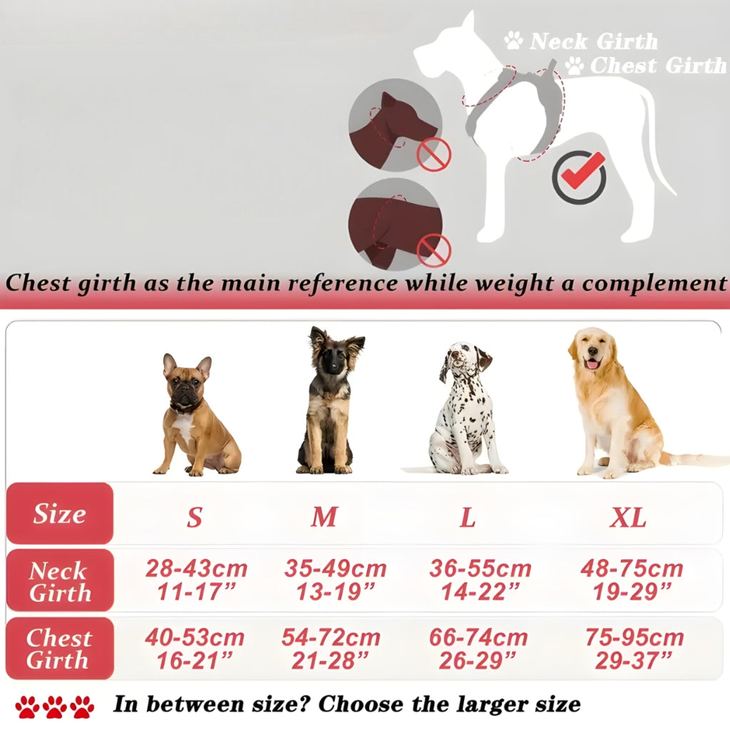 Miomu Arnés, Correa y Bolsa de Desechos para Perro