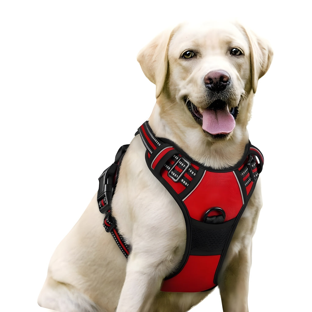 Miomu Arnés, Correa y Bolsa de Desechos para Perro