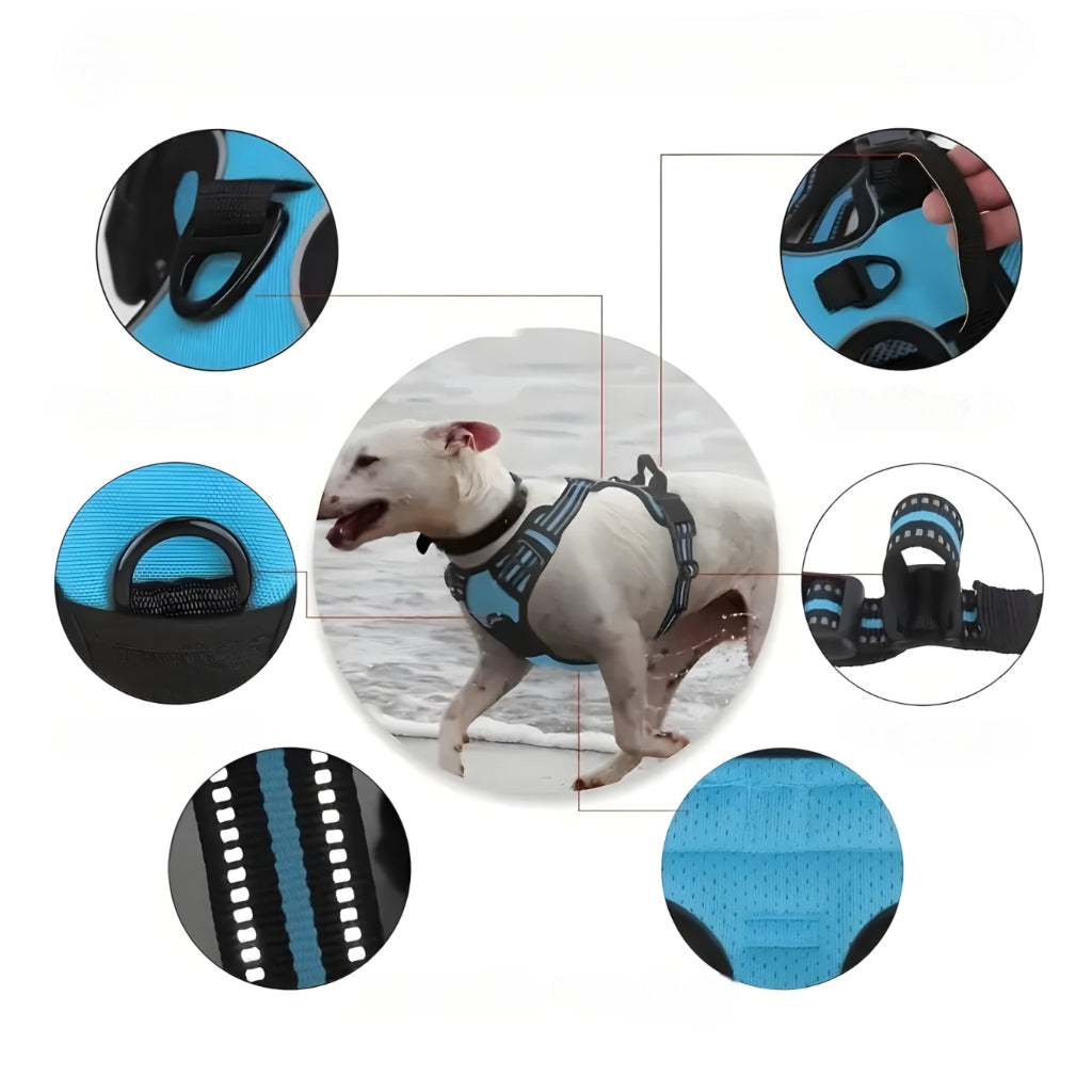 Miomu Arnés, Correa y Bolsa de Desechos para Perro