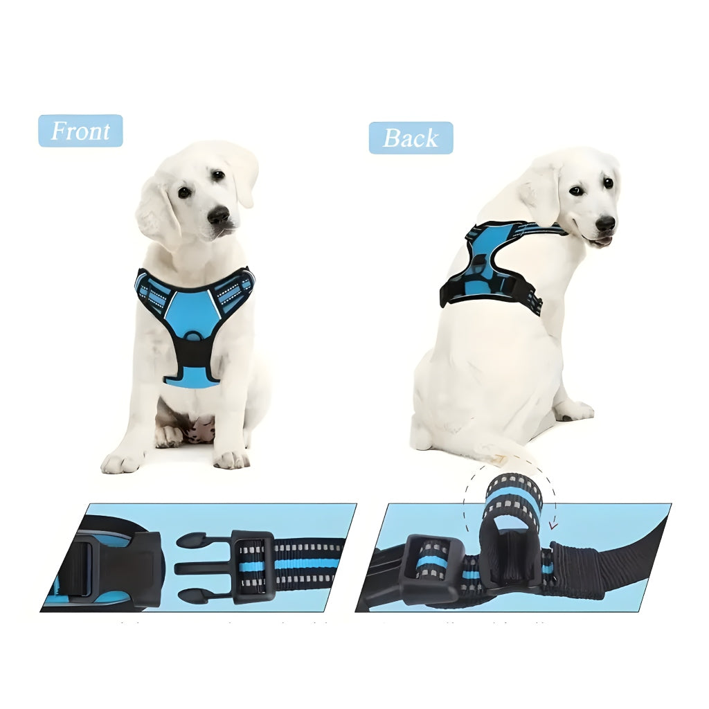 Miomu Arnés, Correa y Bolsa de Desechos para Perro