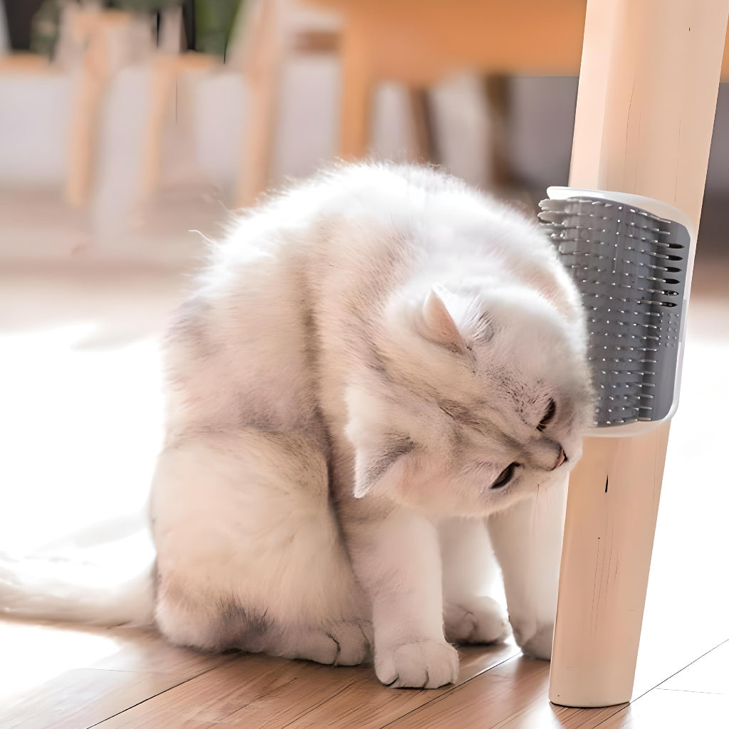 Miomu Cepillo Auto Rascador de Mascotas para Muebles