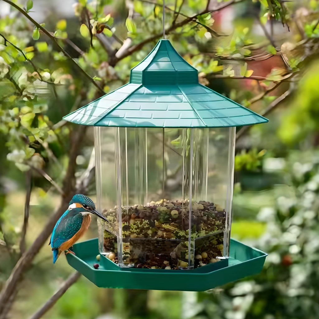 Miomu Comedero Colgante para Aves