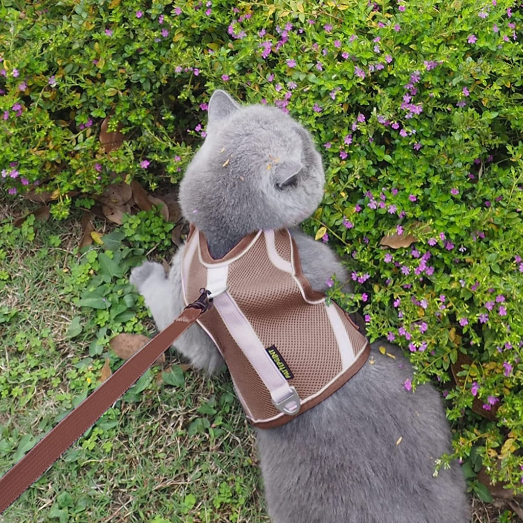 Miomu Pechera para Mascotas Deportivo Café