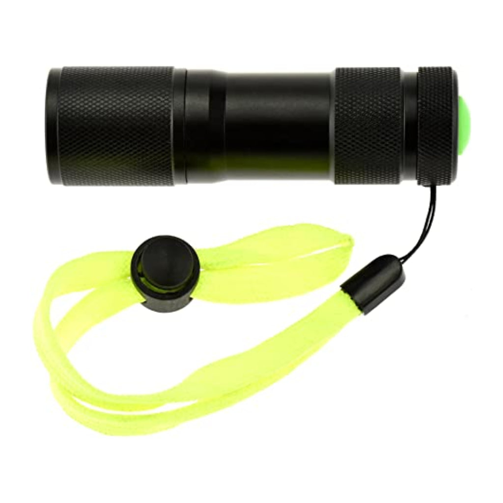 Miomu Linterna con Luz LED Resistente al Agua