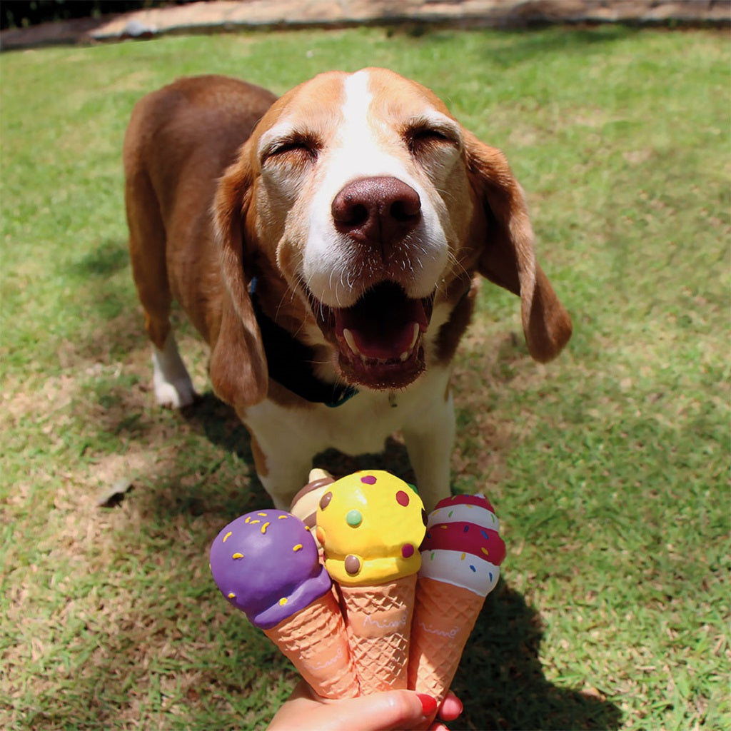 Mimo Juguete Cono de Helado con Sonido, para Perros